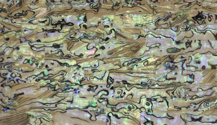 Mother-of-pearl shell veneer sheet 12