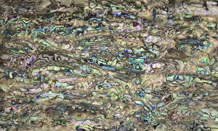 Mother-of-pearl shell veneer sheet 13