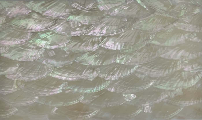 Mother-of-pearl shell veneer sheet 2