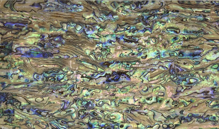 Mother-of-pearl shell veneer sheet 4