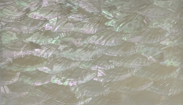 Mother-of-pearl shell veneer sheet 3