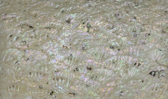 Mother-of-pearl shell veneer sheet 8
