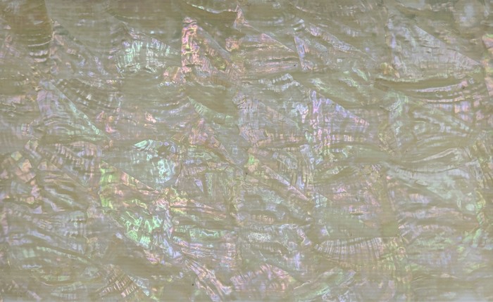 Mother-of-pearl shell veneer sheet 9