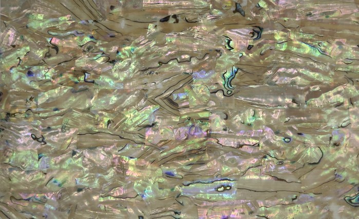 Mother-of-pearl shell veneer sheet 14