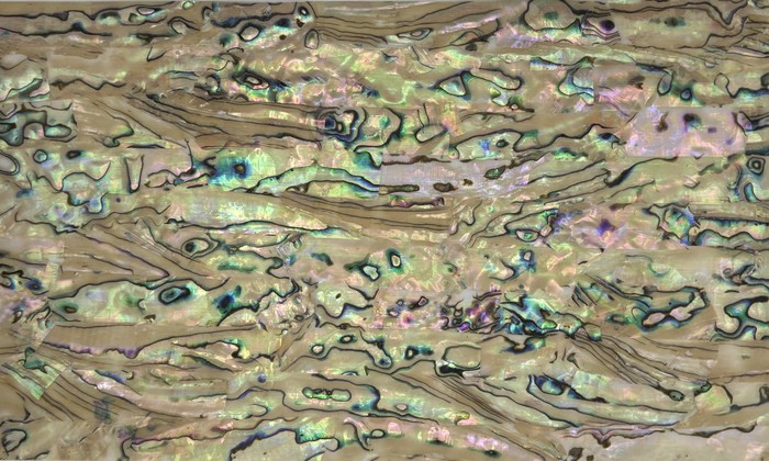 Mother-of-pearl shell veneer sheet 1