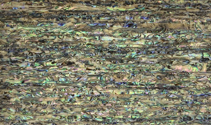 Mother-of-pearl shell veneer sheet 16